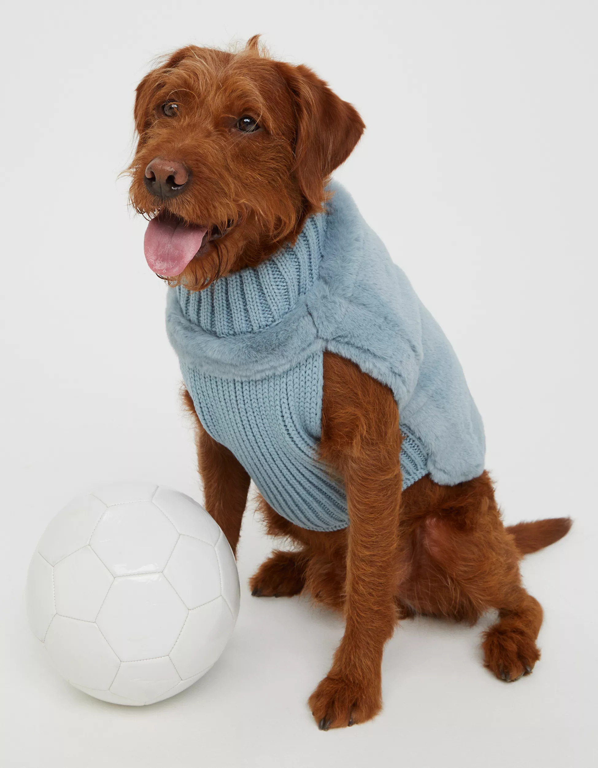 OFFLEASH By Aerie Fur Dog Sweater | American Eagle Outfitters (US & CA)