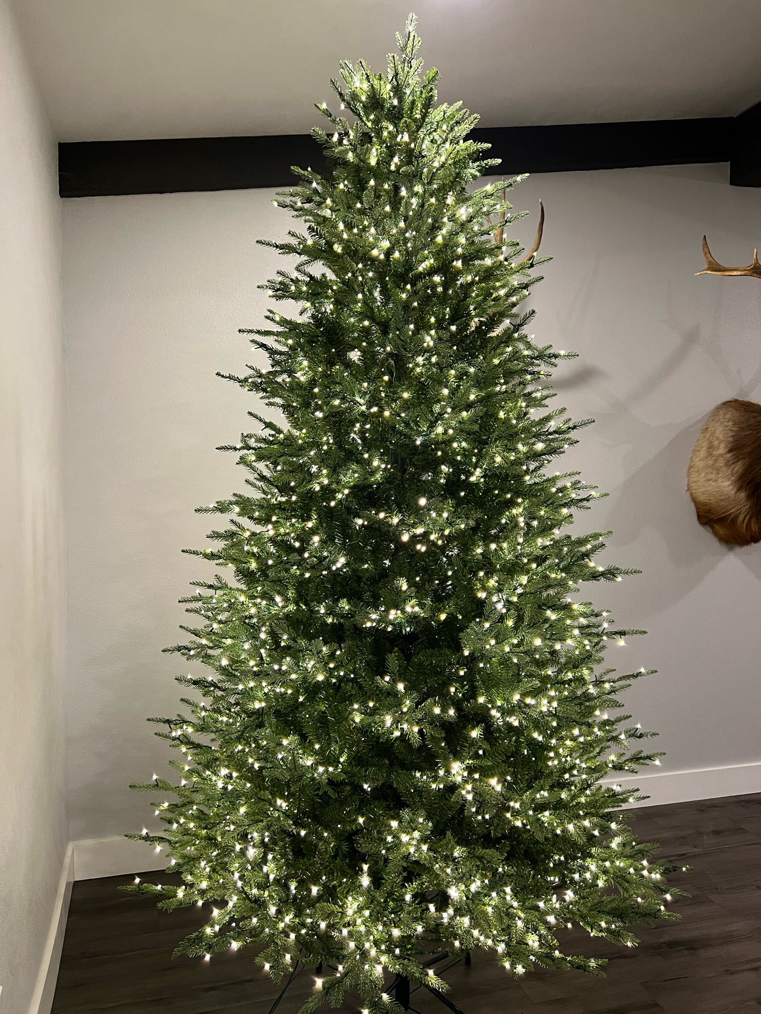 Viral Home Depot Christmas tree😍 Grand duchess balsam fir 9ft tall. 10 different light functions & several sizes🎄#LTKHoliday #LTKHolidaySale

#LTKSeasonal