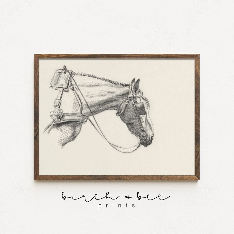 Horse Sketch Art Print  Vintage Equine Art Printable 63 - Etsy | Etsy (US)