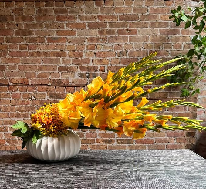Pots & Patterns 11" Large White Ceramic Flower Vase - Modern Ribbed Low Profile Centerpiece for D... | Amazon (US)