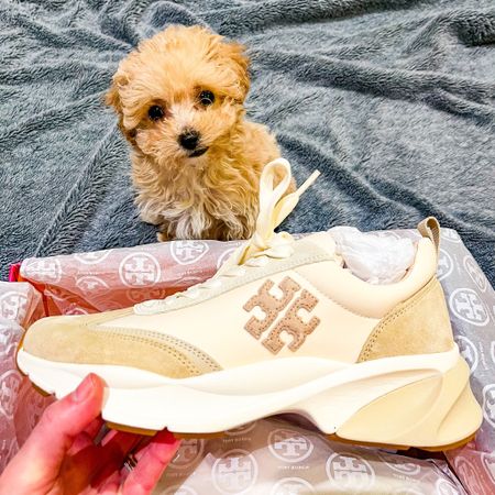 When your new shoes match your new puppy! 🐾🐶🥰 @toryburch trainers of dreams! ✨ 

You can use code ‘SAVVY’ for 20% off selected full price items at All Sole with code ‘SAVVY’. Brands include Veja, Birkenstock, Dr Martens, Ugg, Hunter, Toryburch, & Converse.

#LTKshoecrush #LTKstyletip #LTKsalealert