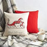 Sleigh Christmas Cushion | Amazon (US)