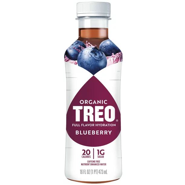 Treo Blueberry Flavored Bottled Birch Water, 16 oz | Walmart (US)