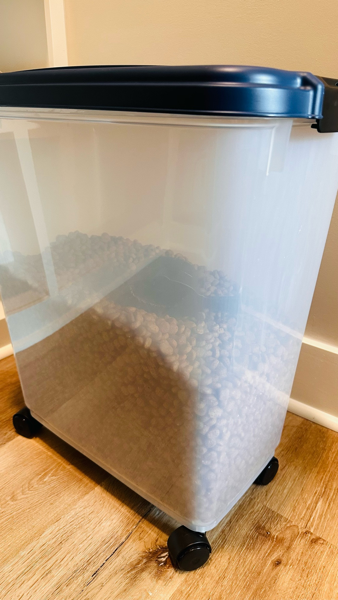 Dog food storage

This is the best container for pet food! It is on wheels and has a foam seal to keep it fresh and no bugs! 

#LTKHome