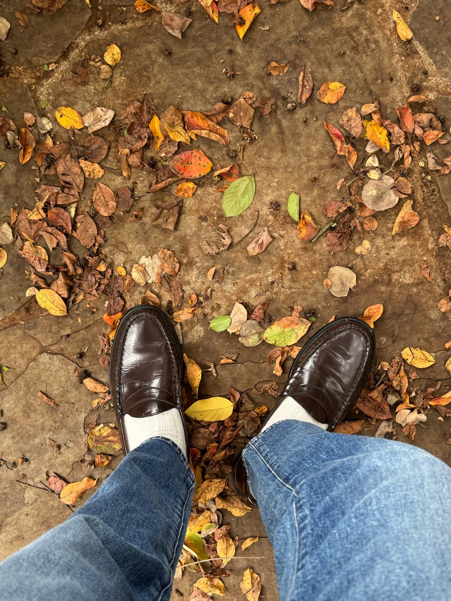 Fall shoe staple: penny loafers

#LTKootd #LTKSeasonal