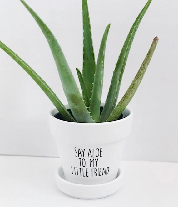 Buy together, get free shipping | Etsy (US)