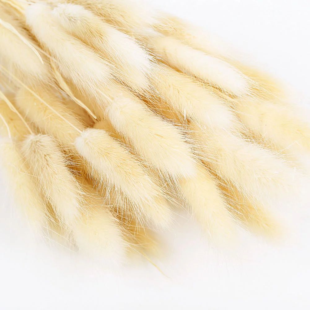 50 Pcs Natural Dried Flowers Decoration, Dried Bunny Tails Pampas Grass Flowers for Flower Arrang... | Walmart (US)