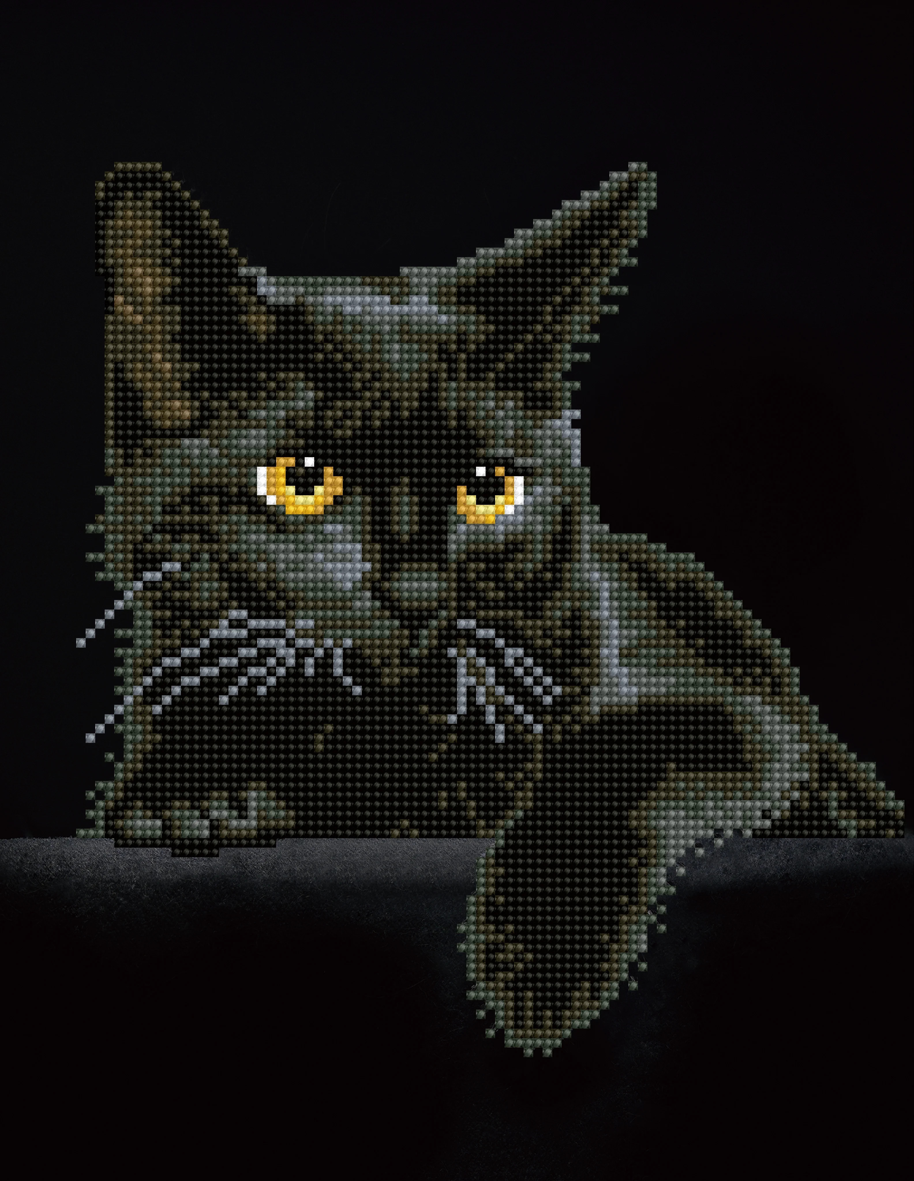 DIAMOND DOTZ® Black Cat Special Edition Diamond Painting Kit | Walmart (US)