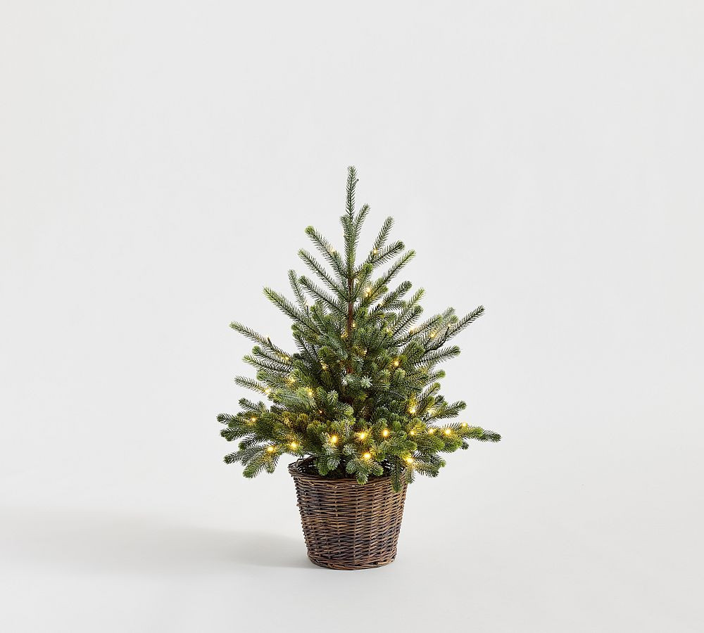 Faux Lit Blue Spruce Tree | Pottery Barn (US)