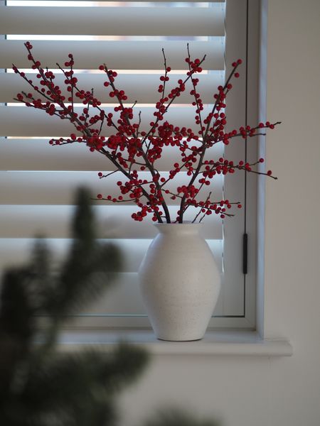 Absolutely love the shape this white ceramic vase. Perfect for red berries at Christmas. 

#LTKhome #LTKSeasonal #LTKeurope