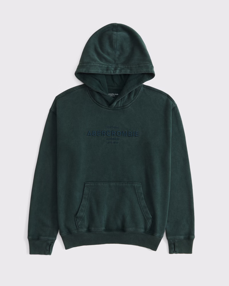 logo popover hoodie | Abercrombie & Fitch (US)