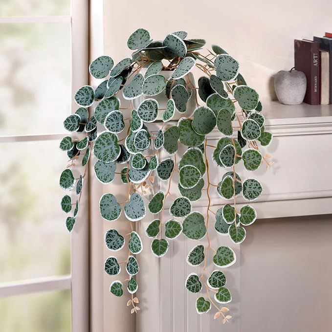 Faux Plants Indoor, 19'' Potted Artificial String of Hearts Vines with White Ceramic Pot Fake Pla... | Amazon (US)