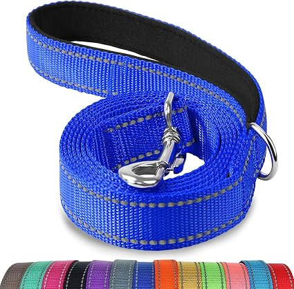 Joytale Double-Sided Reflective Dog Leash, 6 FT/5 FT/4 FT, Padded Handle Nylon Dogs Leashes for M... | Amazon (US)