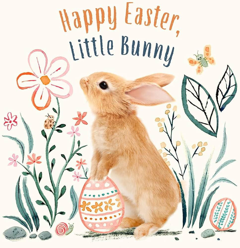 Happy Easter, Little Bunny (Baby Animal Tales) | Amazon (US)