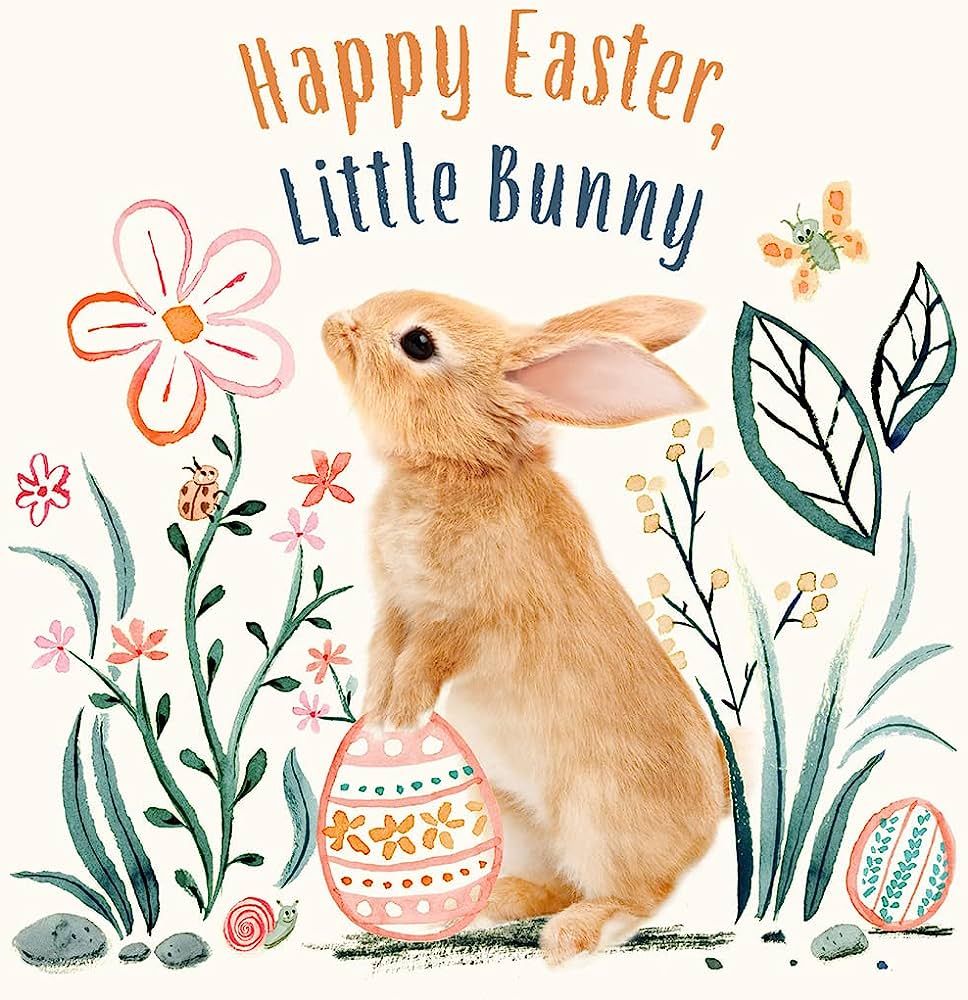 Happy Easter, Little Bunny (Baby Animal Tales) | Amazon (US)