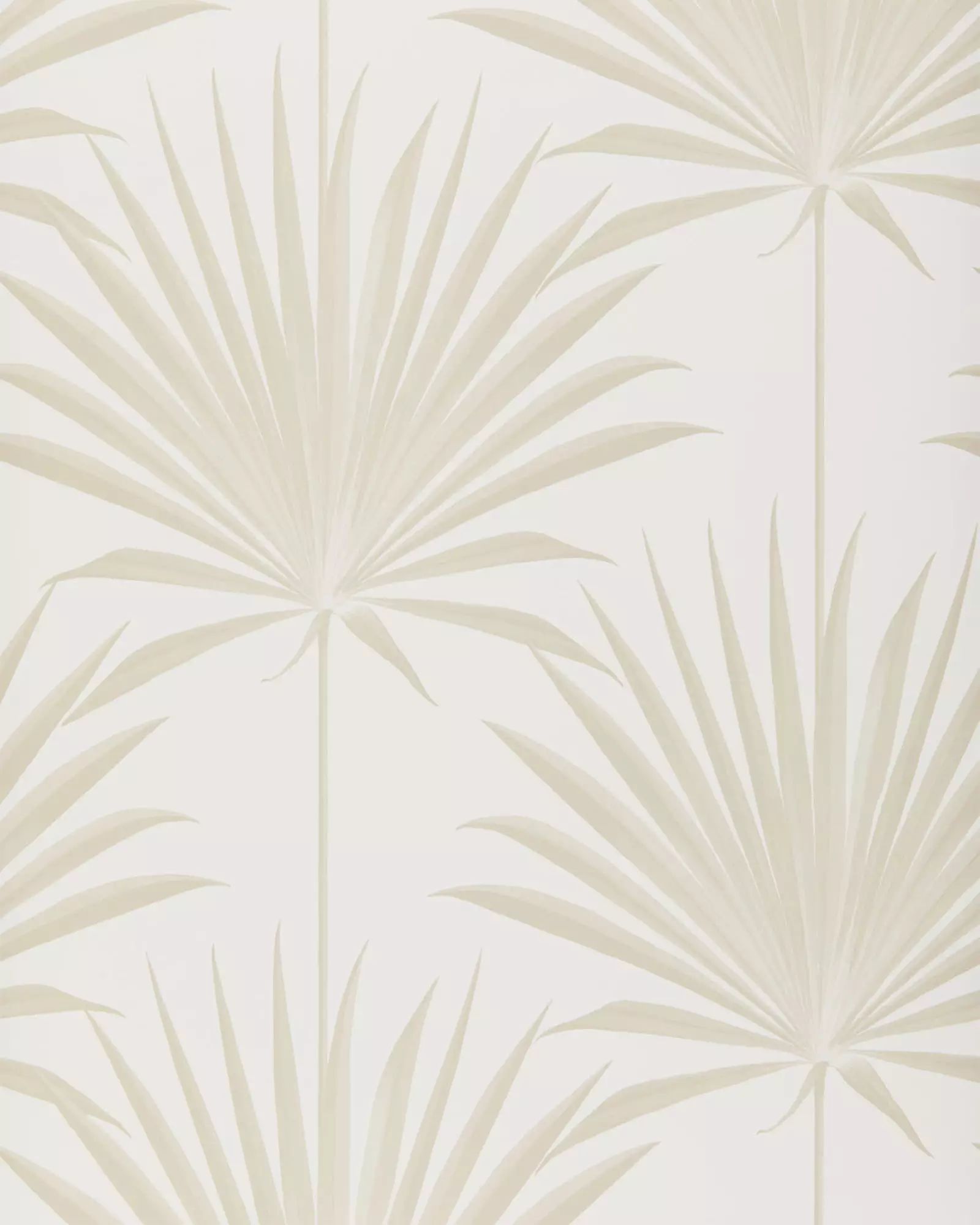 Island Palm Wallpaper | Serena and Lily