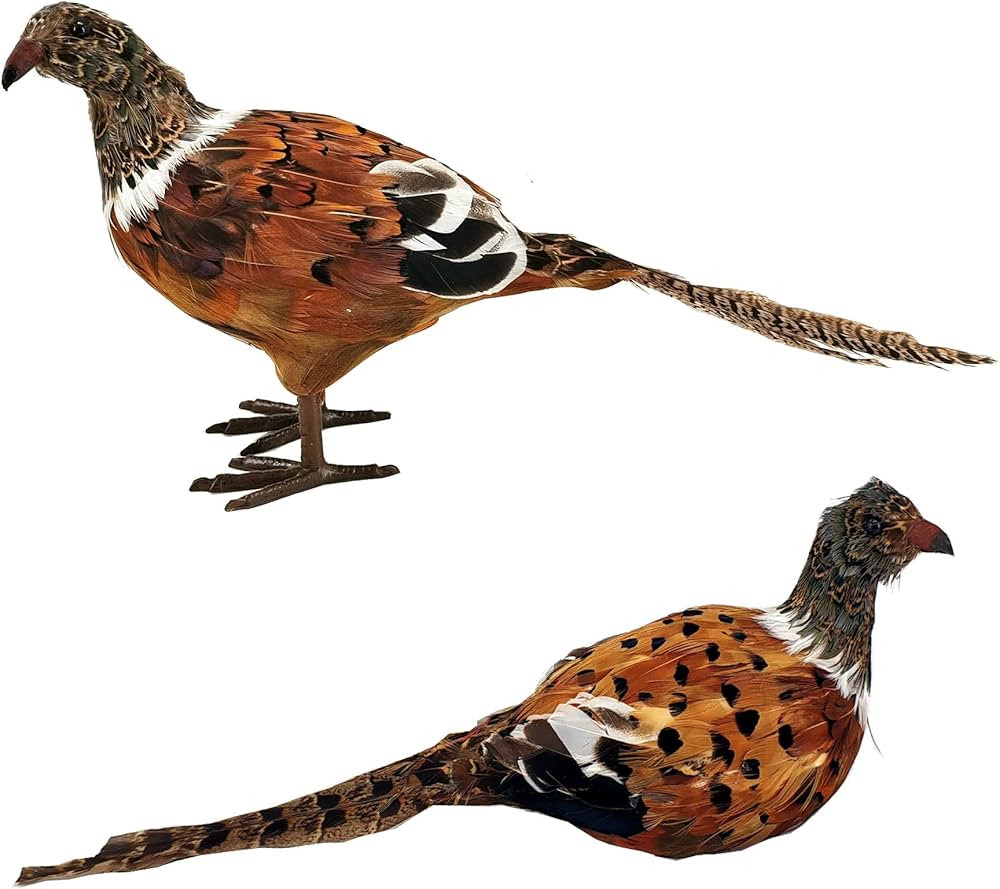 Nature Vibe 13 Inches Feathered Pheasant Decor, Set of 2 Simulation Woodland Animals Figurines wi... | Amazon (US)