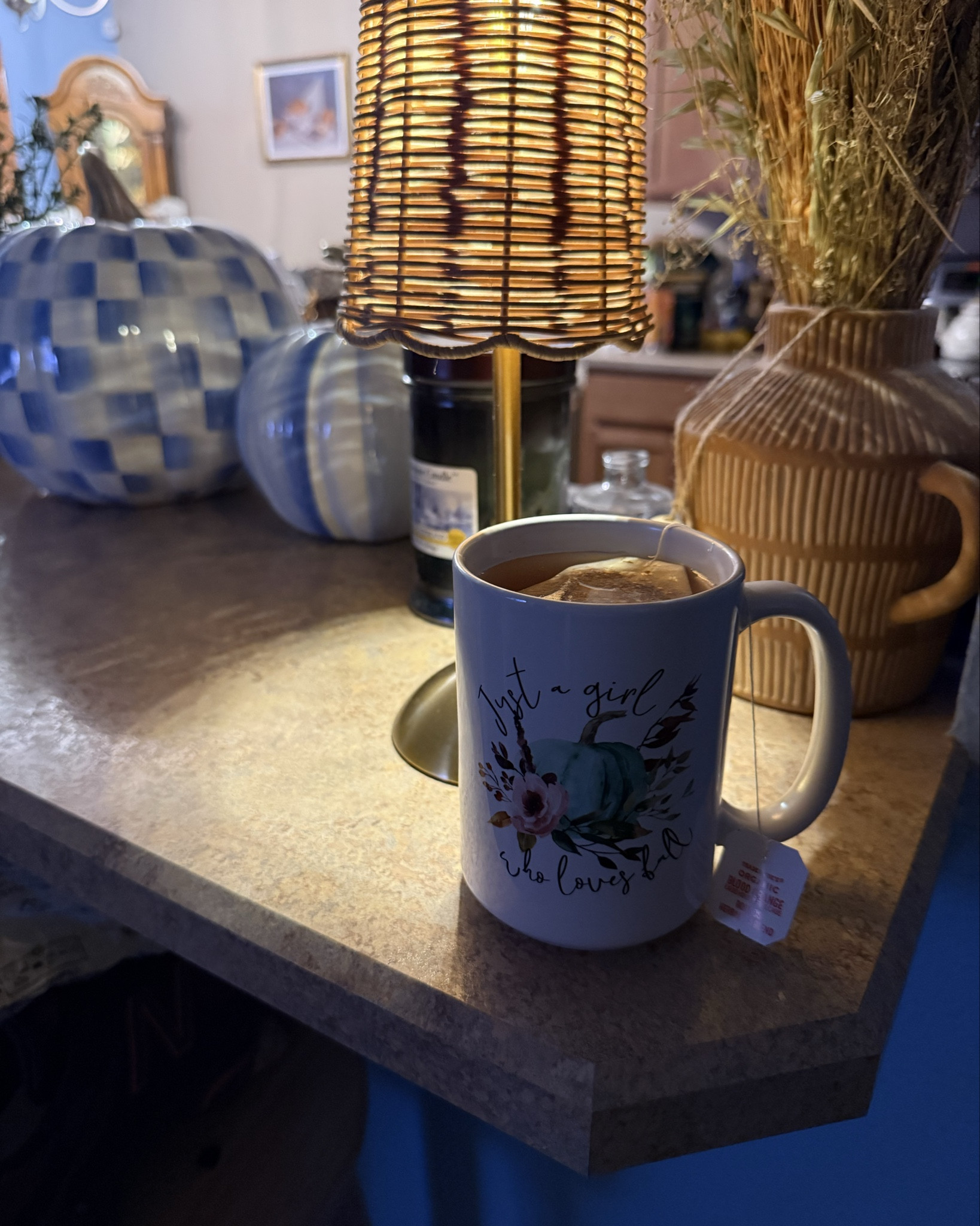 Oh I love a rainy night🌧️🩵🎃🍂 cozy vibes🌫️🤎  



#mackenziechilds #pumpkins #yearroundpumpkins #fallvibes #delulu #rainynight #pretendingitsfall #etsy #etsyfinds #etsymug #rattanlamp #cozyvibes #homedecor #bohostyle

#LTKSeasonal #LTKHome #LTKselfcare