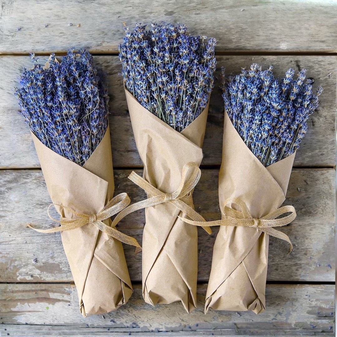 Bring the calming beauty of the countryside indoors with this hand-tied organic lavender bundle from EternalBlossomByGail. Featuring fragrant Grosso or English lavender, each bouquet is carefully harvested, dried, and wrapped in Kraft paper with natural twine for a timeless botanical look. Perfect for Mother’s Day, housewarming gifts, weddings, or self-care spaces, these long-lasting stems add soothing fragrance and effortless cottage-style charm to any room.

#LTKGiftGuide #Lavender #DriedFlowers #OrganicLavender #CottagecoreDecor #RelaxingHome #MothersDayGift #HousewarmingGift #FloralDecor #NaturalHome #LTKHome #BotanicalDecor 

#LTKWedding #LTKHome #LTKSeasonal