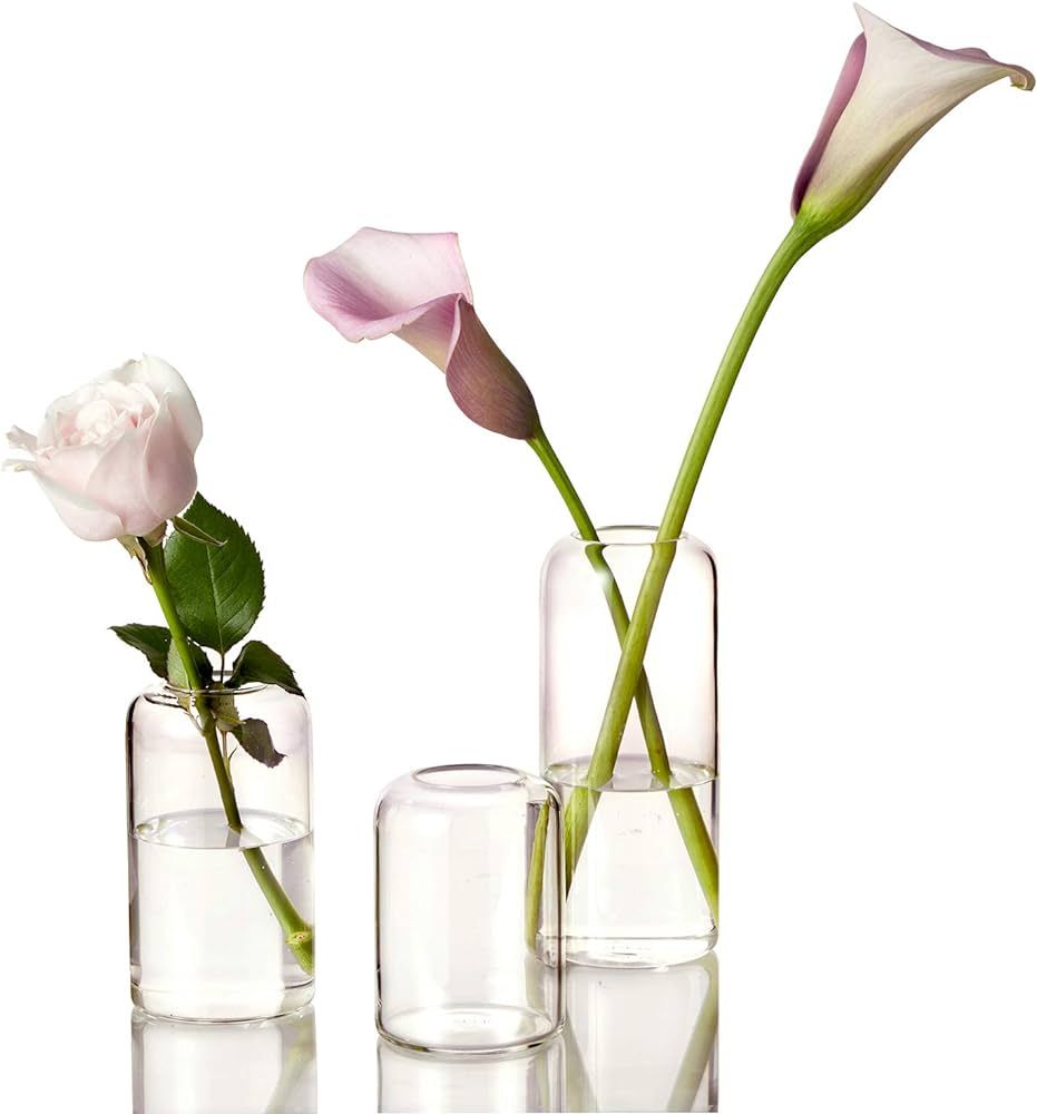 ZENS Glass Bud Vases Set of 3, Minimalist Clear Small Glass Vase for Home Decor Centerpieces, Mod... | Amazon (US)