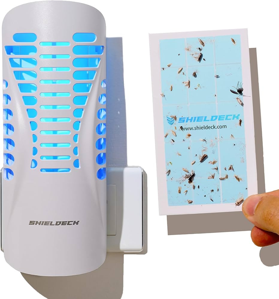 Shieldeck Flying Insect Trap - Indoor Fly Trap, Gnat Trap, and Mosquito Trap - Fruit Fly Killer a... | Amazon (US)