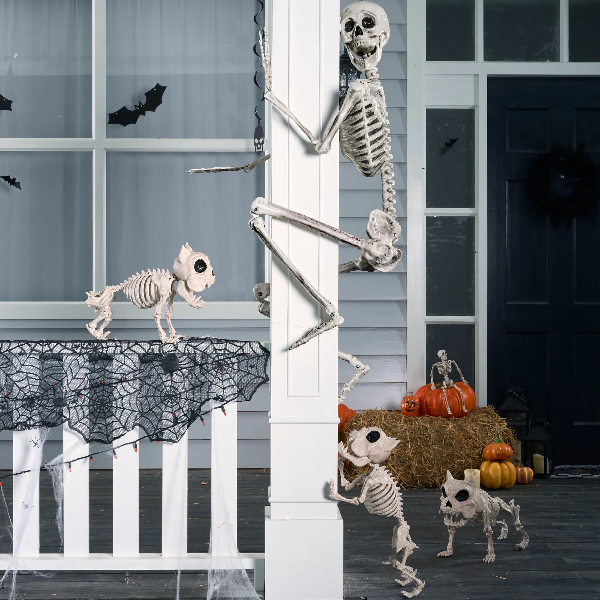 The Holiday Aisle® 5.6 FT Halloween Posable Life Size Skeleton Full Body Realistic Bones with Movable Joints | Wayfair | Wayfair North America