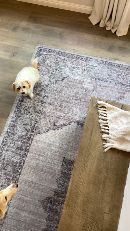 We are still loving this gorgeous #uniqueloom machine washable area rug in our bedroom! Not only is it absolutely beautiful, but so necessary with our little dog Indie who has the occasional accident! 😍🤍 #paidpartnership

Area rug. Ruggable. Washable area rug. Unique loom. Master bedroom decor. Neutral rug. Vintage rug.


#LTKhome #LTKstyletip #LTKFind