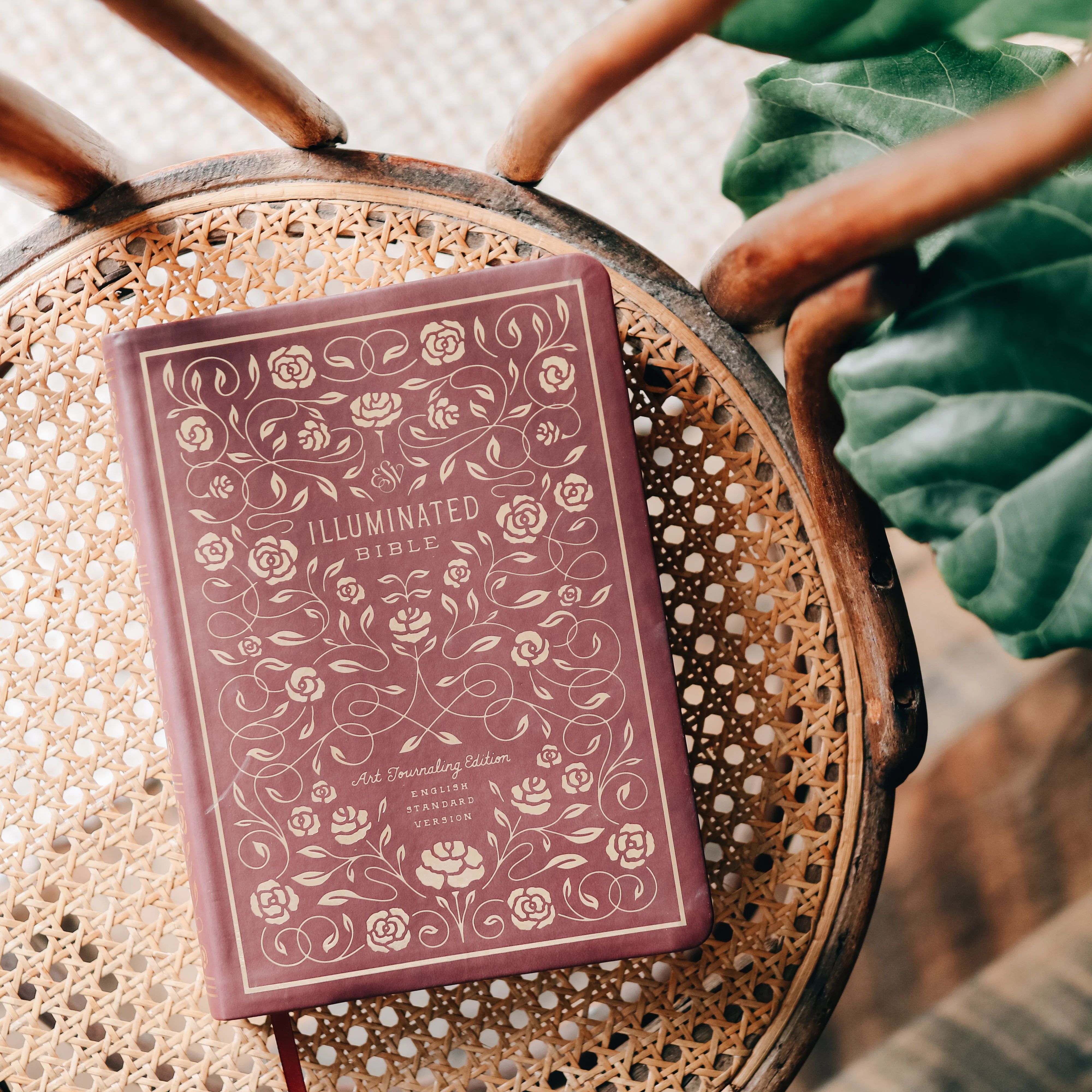 ESV Illuminated Journaling Bible | The Daily Grace Co.