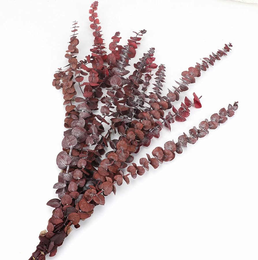 12pcs Dried Red Eucalyptus Stems 17" Natural Fresh Eucalyptus Plant for Shower Hanging, Wedding D... | Amazon (US)