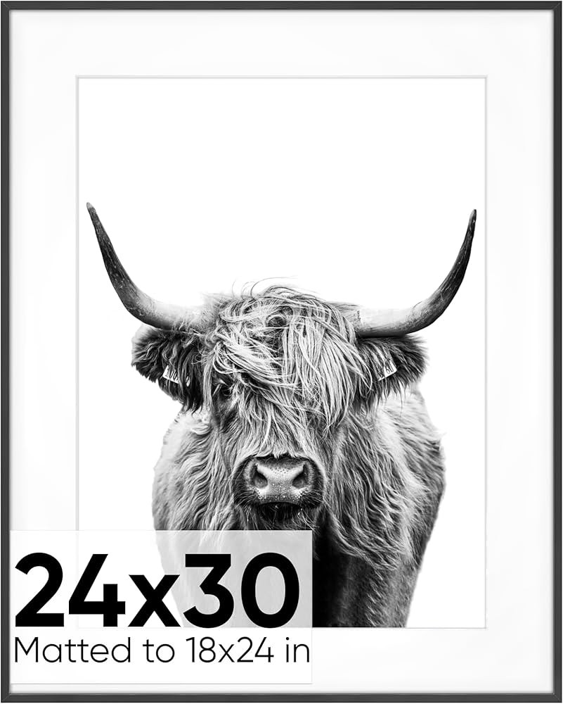 Homeforia 24 x 30 Picture Frame Black, Premium Metal 24x30 Puzzle Frame Matted to 18x24 Photo, 24... | Amazon (US)