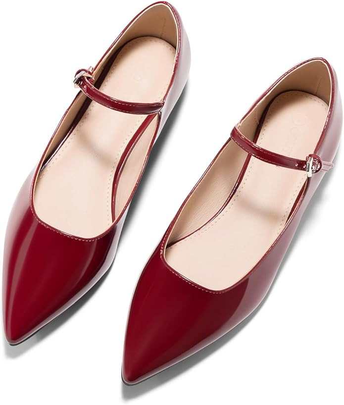 Coutgo Womens Mary Jane Flats Closed Pointed Toe Ballet Flats Ankle Strap Work Dress Shoes | Amazon (US)