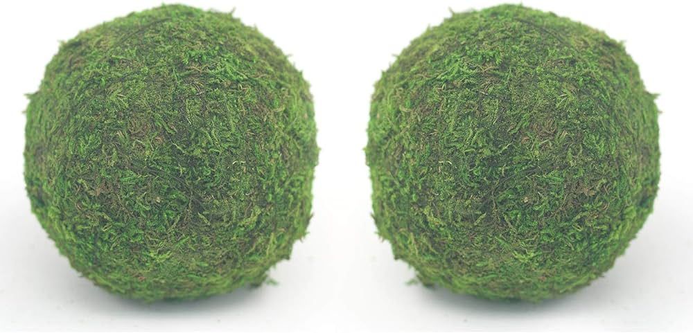Handmade Natural Green Plant Moss Balls Decorative for Home Party Display Decor Props (6 in) | Amazon (US)