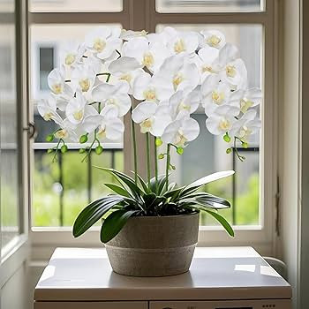 Htmeing 38 Inch Artificial Phalaenopsis Flowers Branches Real Touch (Not Silk) Orchids Flowers fo... | Amazon (US)