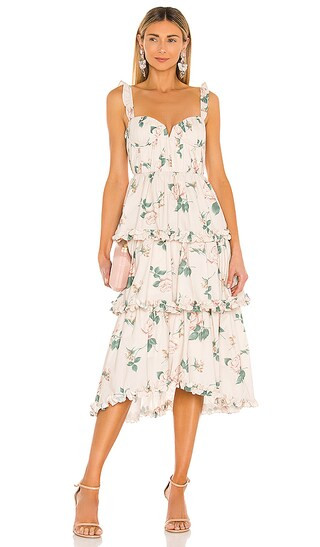 Peyton Dress in Powder Pink | Revolve Clothing (Global)