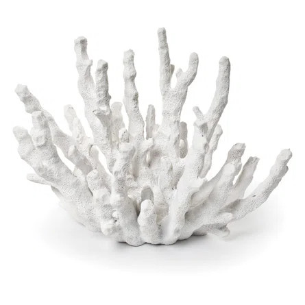 Rosecliff Heights White Finger Coral Decoration Figurine | Wayfair | Wayfair Professional