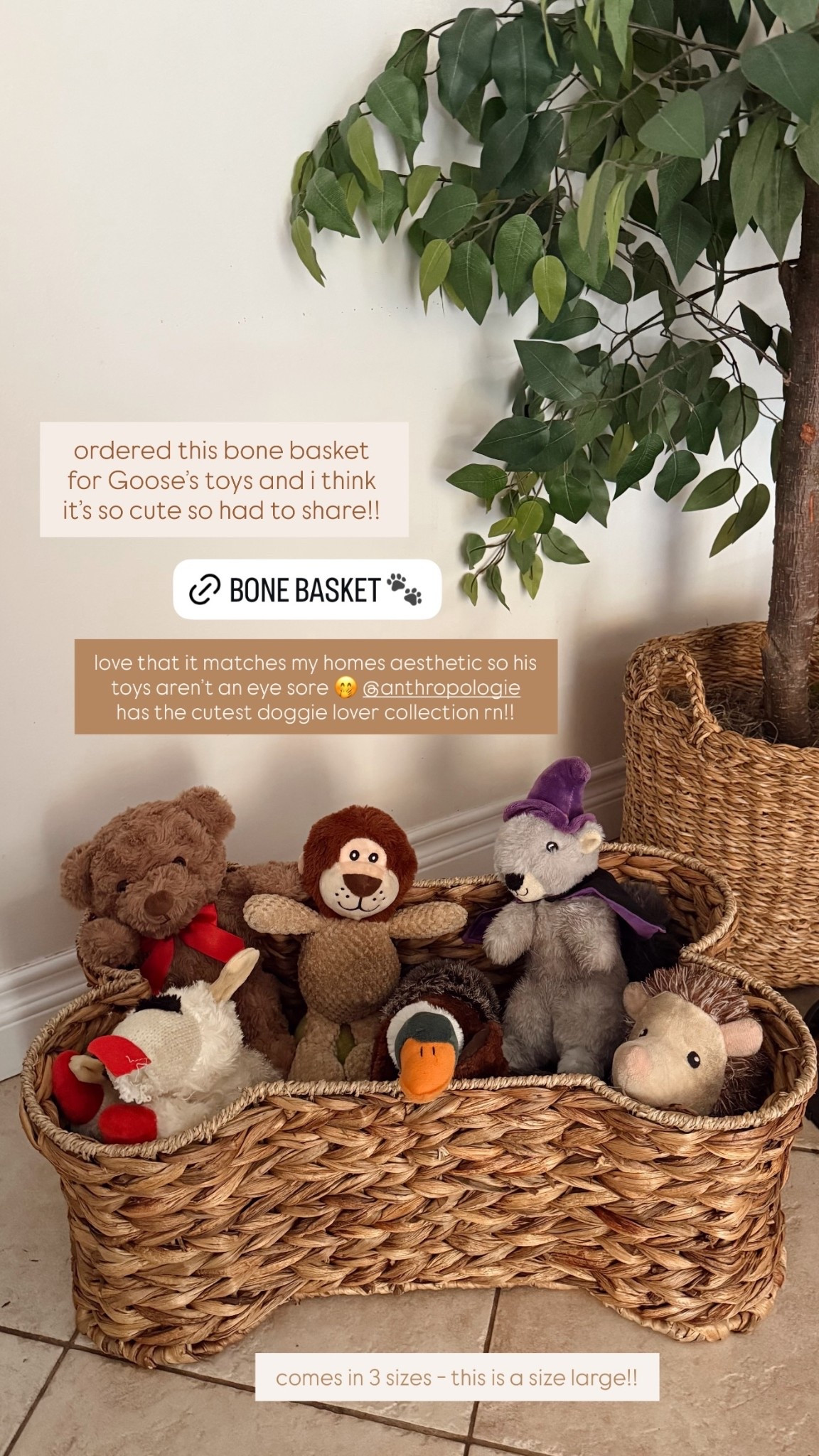 ordered this bone basket for Goose’s toys and i think it’s so cute so had to share!! love that it matches my homes aesthetic so his toys aren’t an eye sore 🤭 @anthropologie has the cutest doggie lover collection rn!! comes in 3 sizes - this is a size large!!