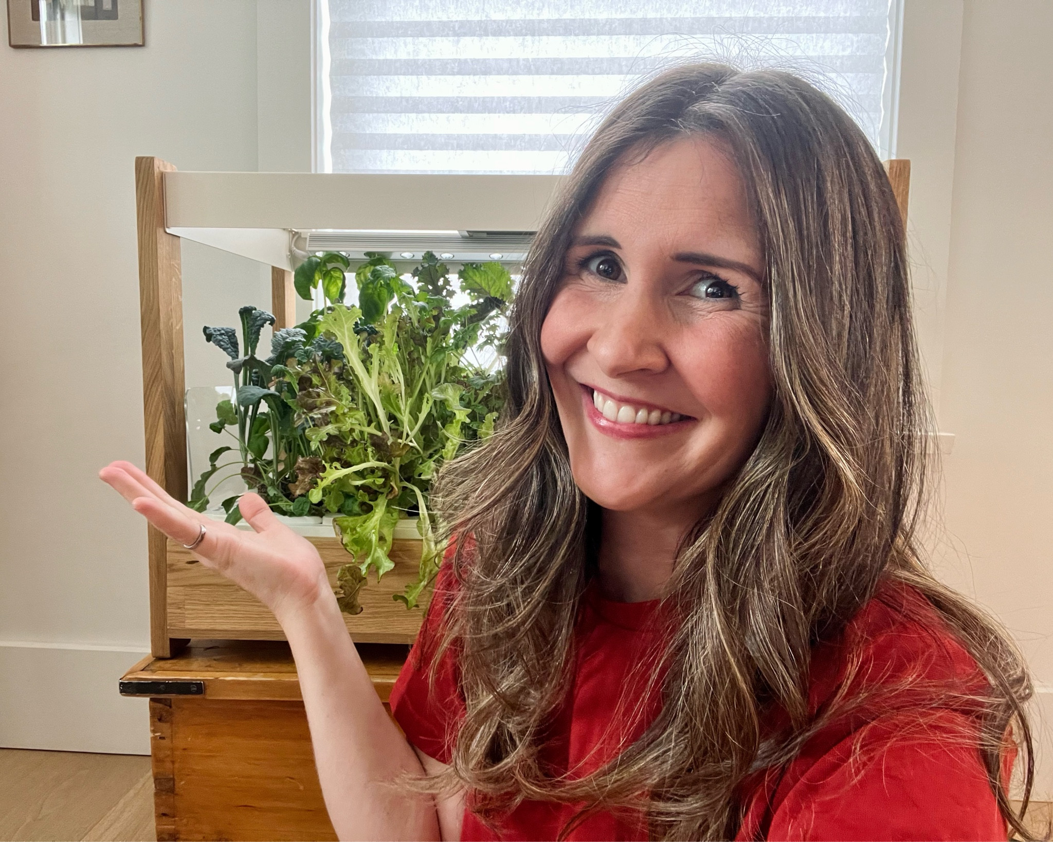 Growing greens in my indoor smart garden - the Click and Grow 25 #plants #wellness #plantbased 

#LTKhome #LTKSeasonal #LTKfamily