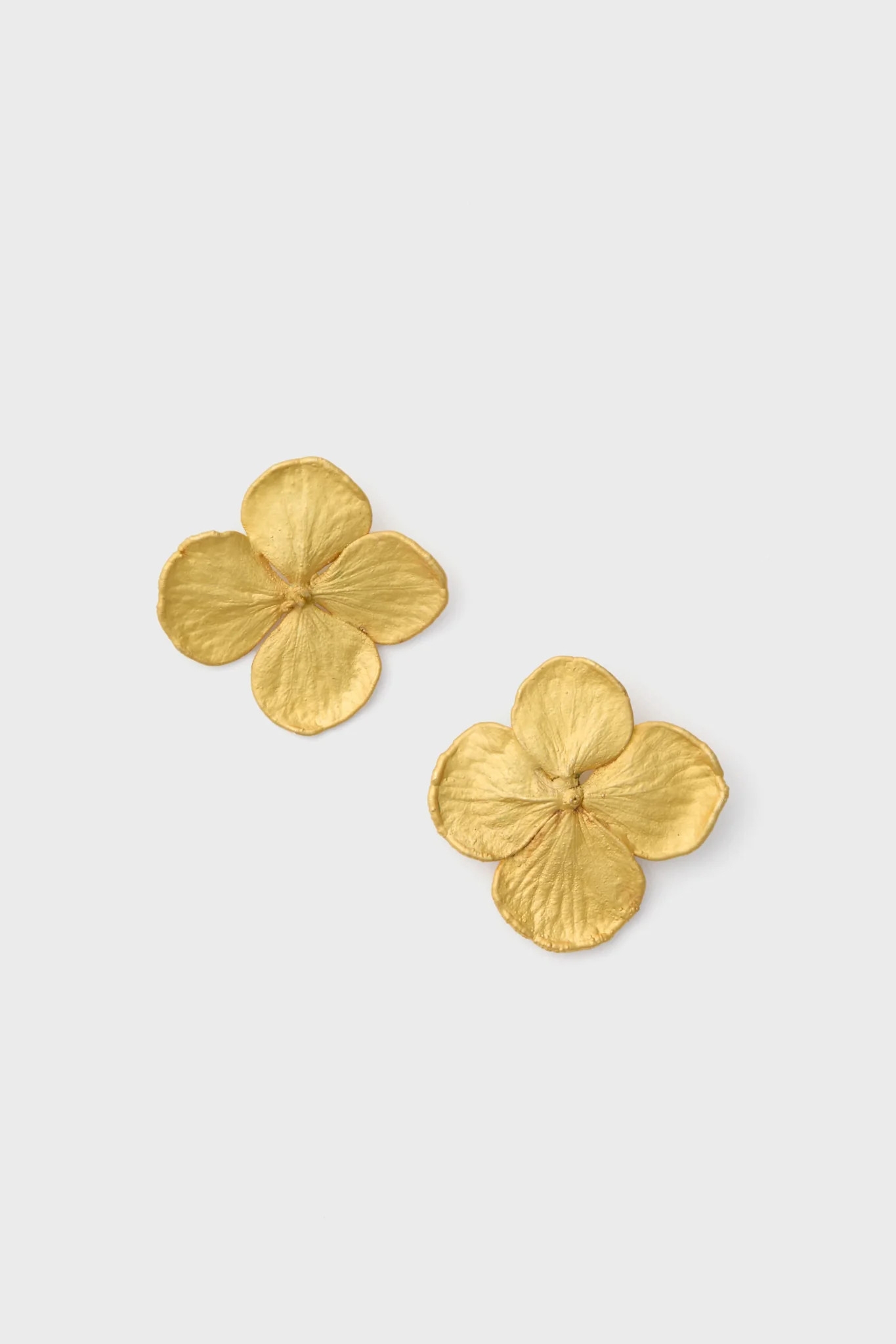 Gold Mini Hydrangeas Studs | Tuckernuck (US)