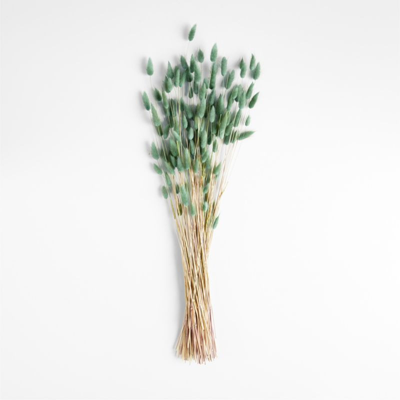 Sage Dried Bunny Tail Grass Bunch | Crate & Barrel | Crate & Barrel