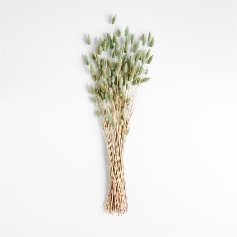 Sage Dried Bunny Tail Grass Bunch + Reviews | Crate & Barrel | Crate & Barrel
