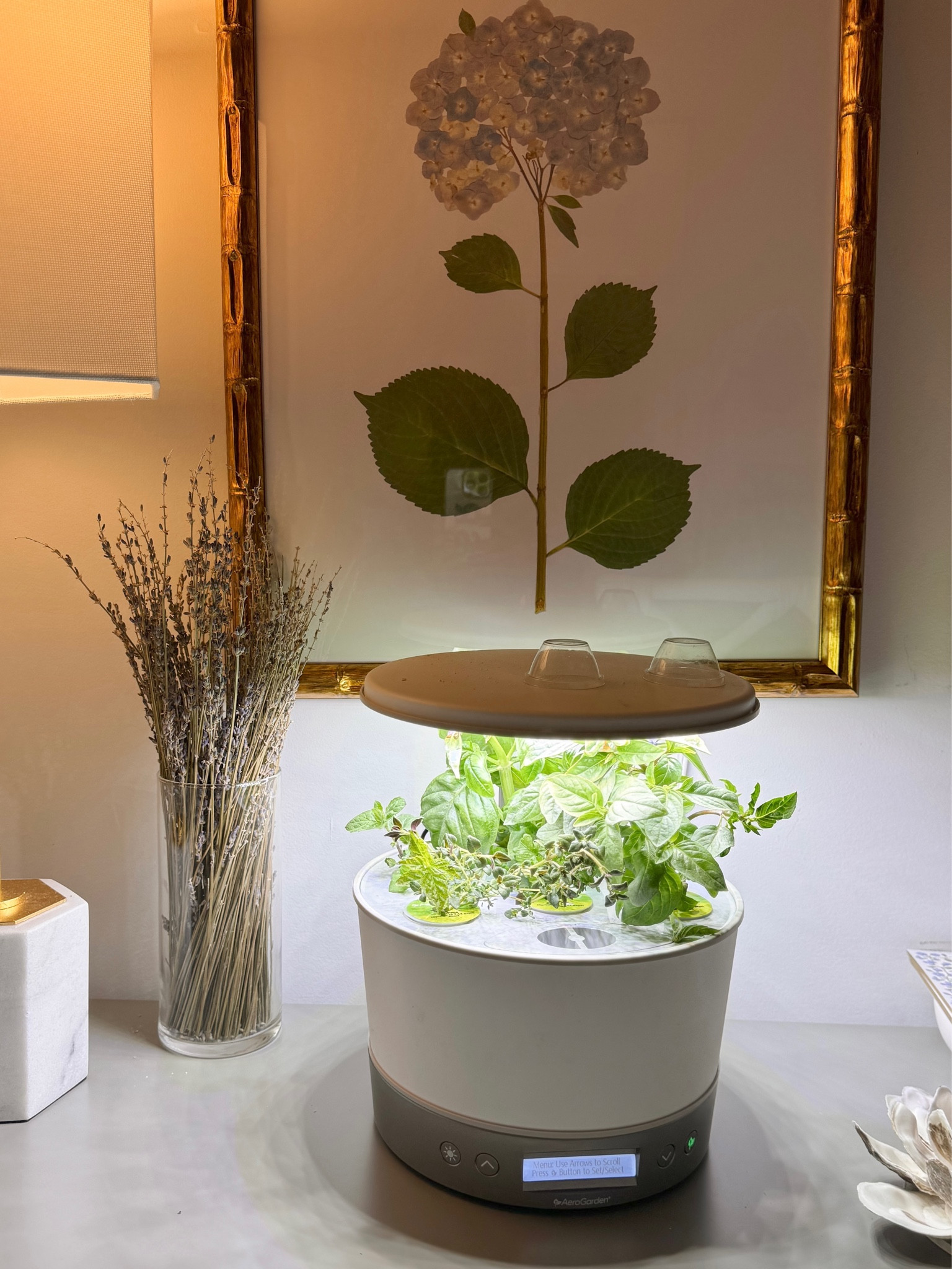 She’s growing! 🌿 We are all so excited about seeing our @officialaerogarden in action and having fresh herbs at our fingertips ~ The basil, mint and thyme. Our 9 year old set it all up and it has flourished over the past couple weeks 👏 

#aerogarden #ad #kitchenfavorites #aerogardenpartner 