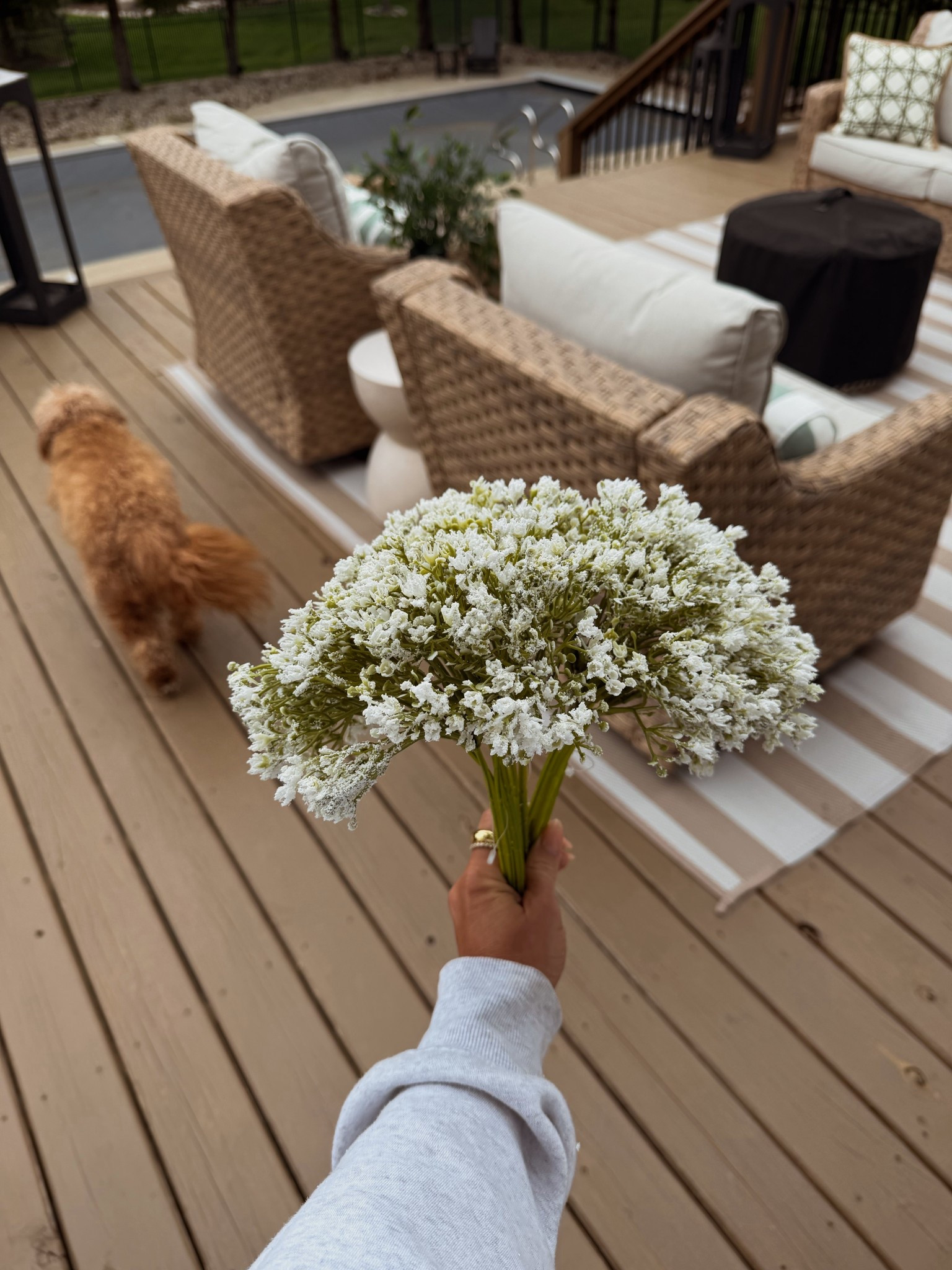 I can’t get over the quality of this artificial baby’s breath bundle 🤍

#LTKdayinmylife #LTKHome #LTKSeasonal