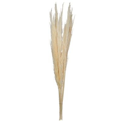 Vickerman 46"  Dried Pampas Grass | Target