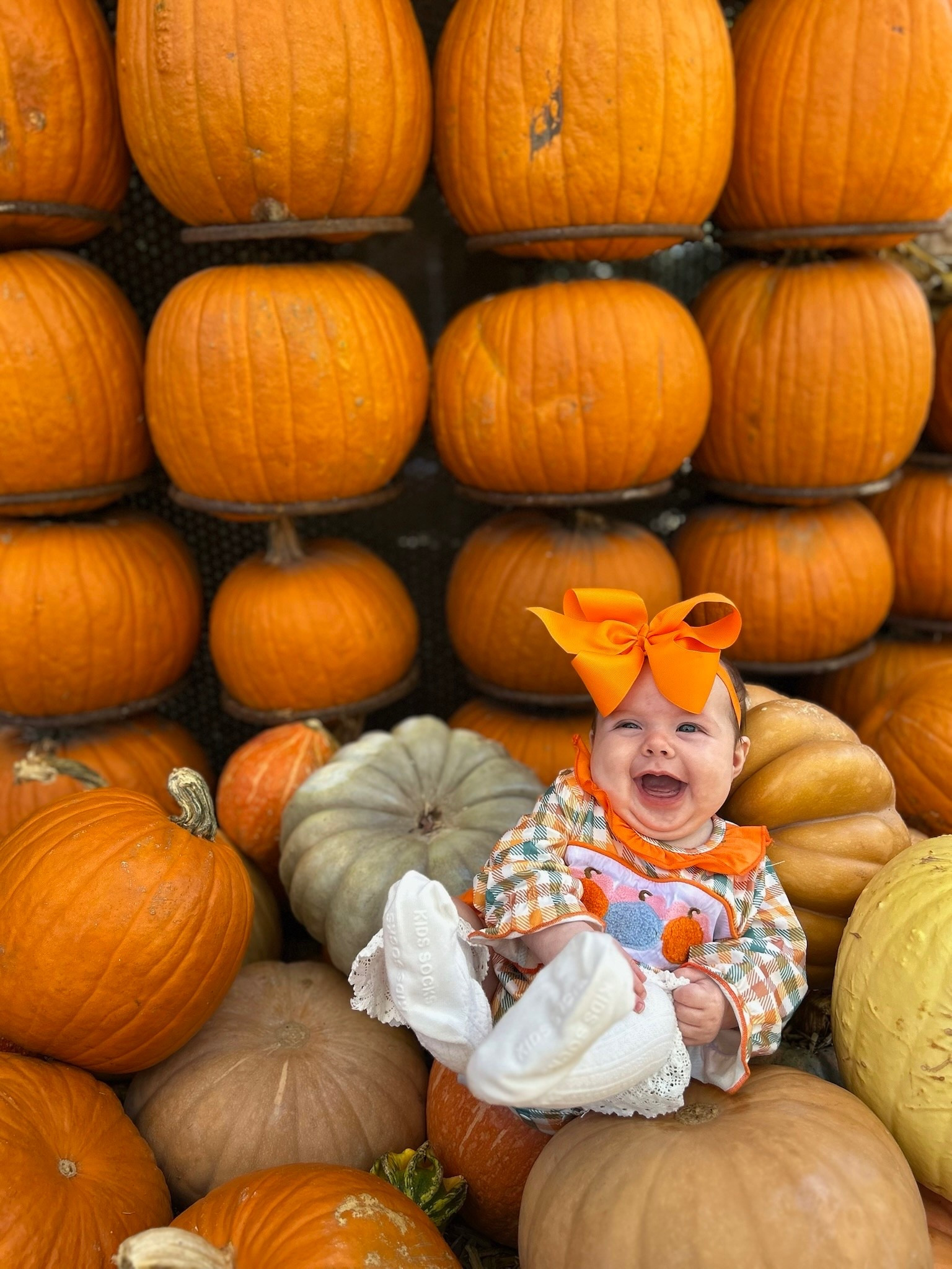 Amazon baby favorites

#LTKBaby #LTKHoliday #LTKSeasonal