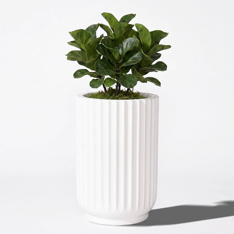 20" Tall Indoor Outdoor Planter, Modern Fluted Big Round Plant Pot ,White | Amazon (US)