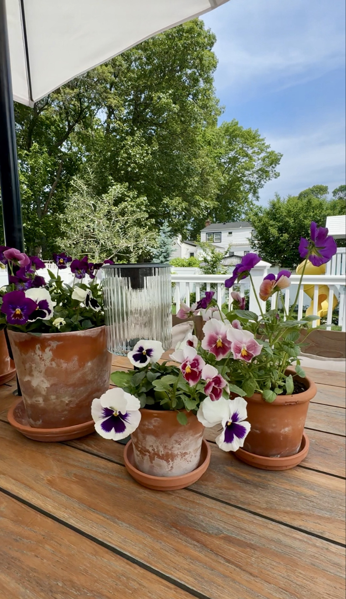 Spring planter idea… terracotta pots and rub a little lime on them for a worn in look.

@lowes #spring #springplanter #planter #outdoor #patio #summer

#LTKSeasonal #LTKmomlife #LTKHome