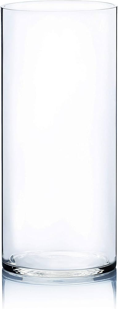 WGV Cylinder Vase, Width 7", Height 16", Clear Wide Large Diameter Flower Glassware, Floral Conta... | Amazon (US)
