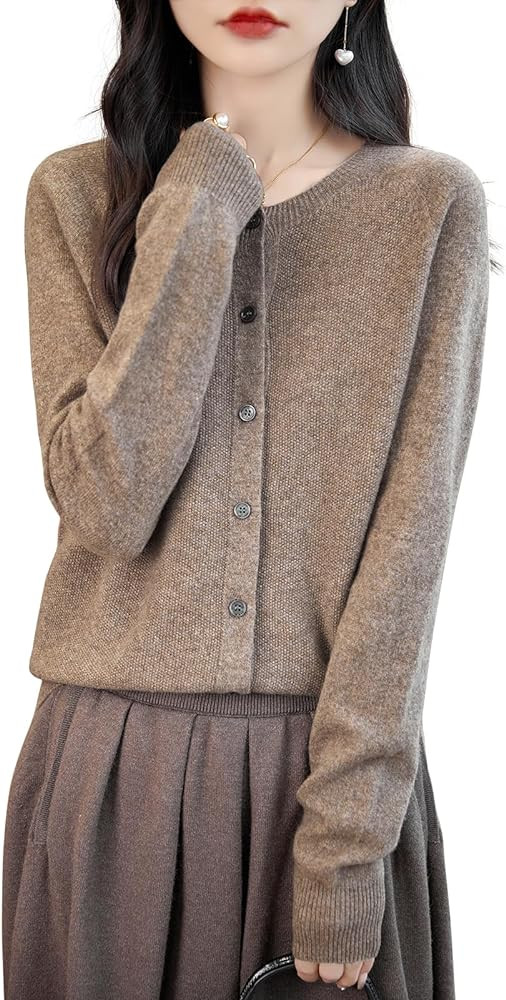 Chanyarn Women's Crewneck 100% Merino Wool Sweater 2025 Spring Fall Solid Long Sleeve Seamless Kn... | Amazon (US)