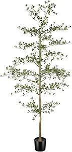 Black Olive Tree 7ft - Faux Black Olive Tree with Natural Trunk and Realistic Leaves - Artificial... | Amazon (US)