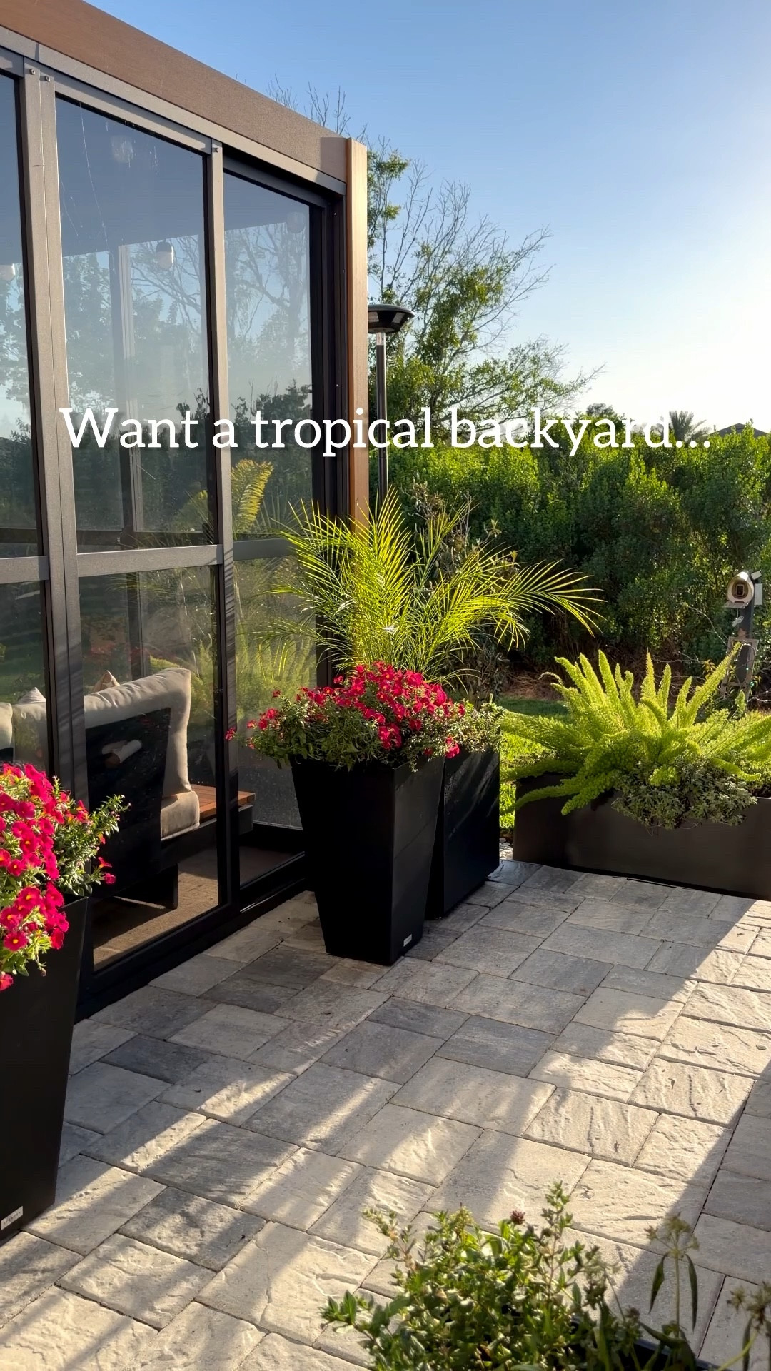  It’s planting season 🌿 and these modern planters gave my backyard a whole tropical vibe! @Wayfair #ad #wayfairpartner #wayfair

#LTKHome #LTKSeasonal
